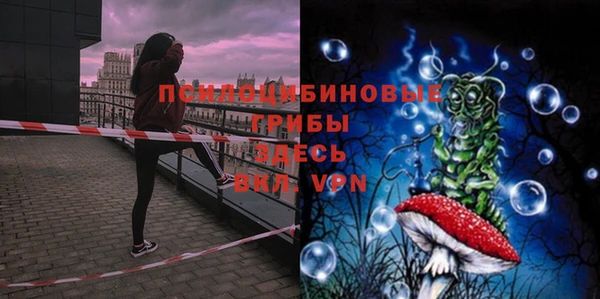 стафф Семикаракорск